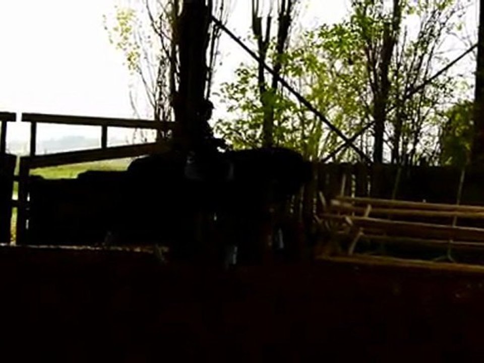 xs pas d'école monté, bas