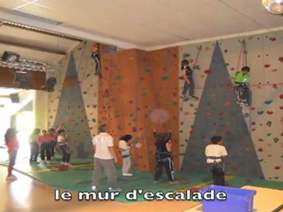 les moussière