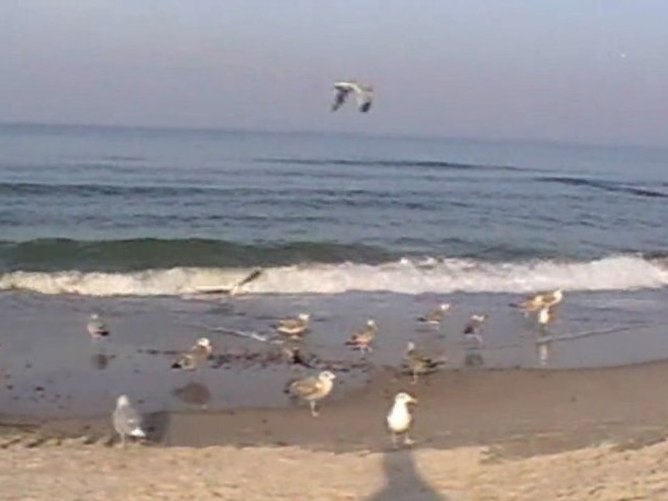 Morze-Grażyna Świtała