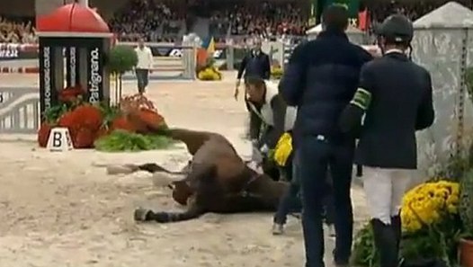 Hickstead, le cheval d'Eric Lamaze, est mort - Vidéo dailymotion