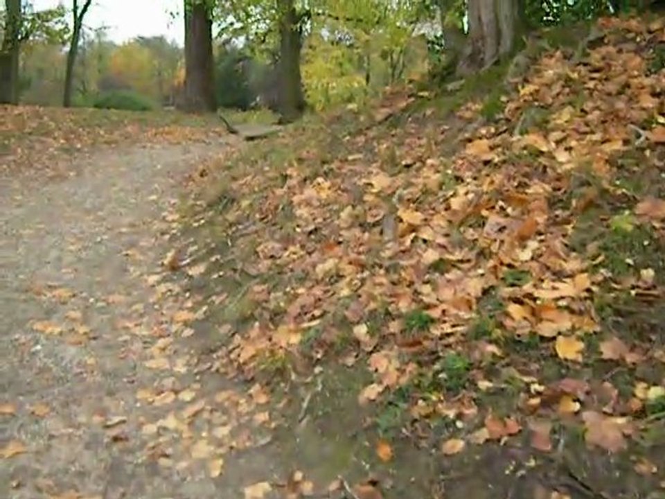 Château Malmaison -- En Anglais