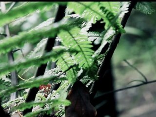 Le Grand Raid de la Réunion by Quechua