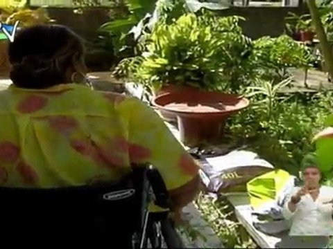 Magazine Papiyon Volé n°8