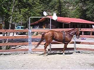 Les transitions descendantes