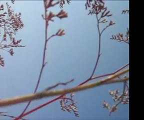 powder - Parov Stelar