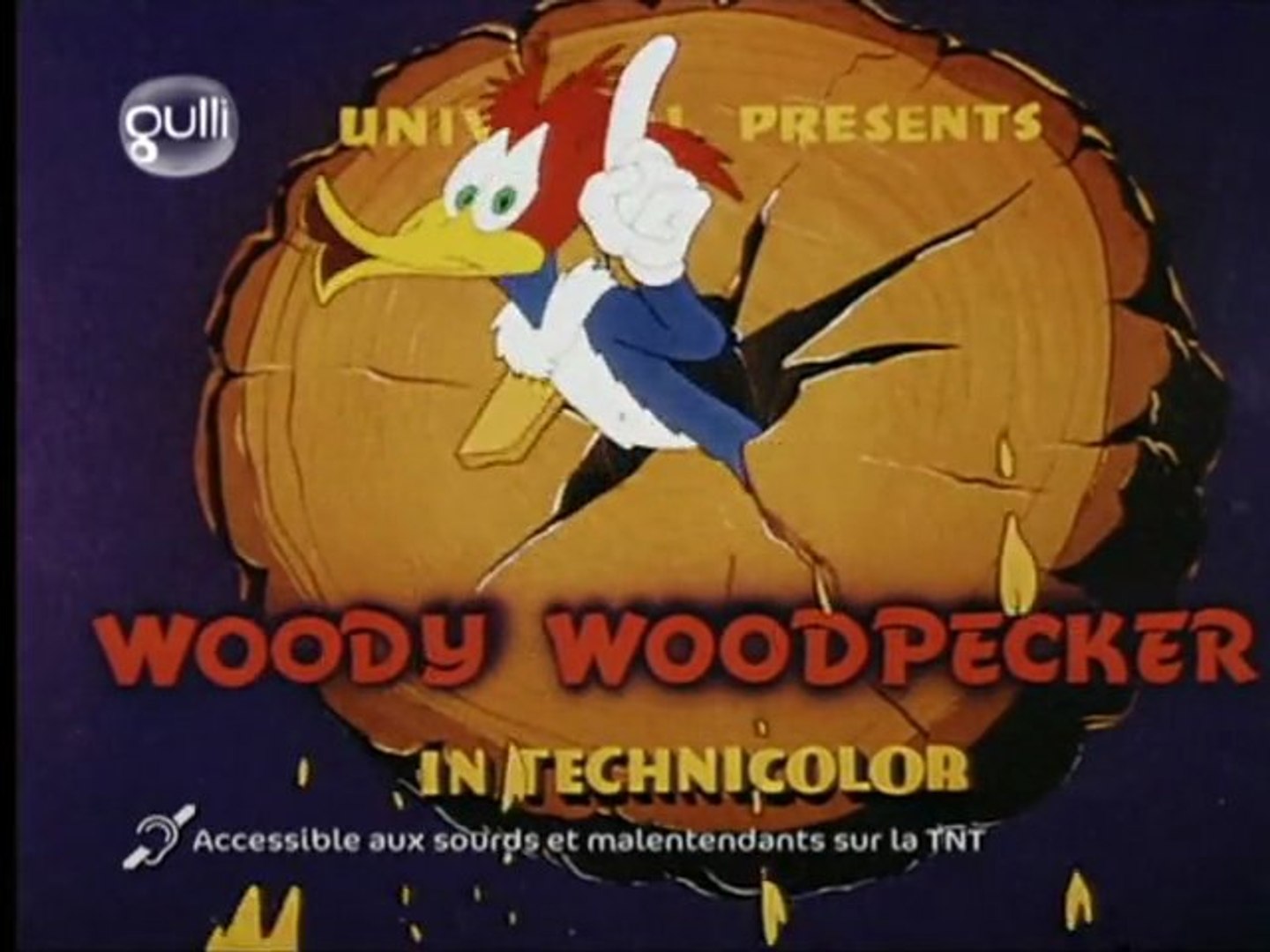 Woody Woodpecker Ma Jolie Clementine Video Dailymotion