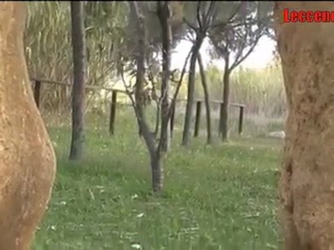 Leccenews24, eventi dal Salento in tempo reale: Maldive del Salento