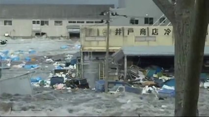 Giappone - Lo Tsunami 47