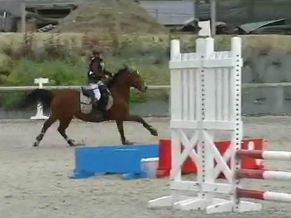 Clarisse et Jonzac à Villers Vicomte le 6 nov 2011