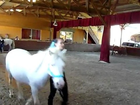 Stage en zic à Terre d'illich, août 2011