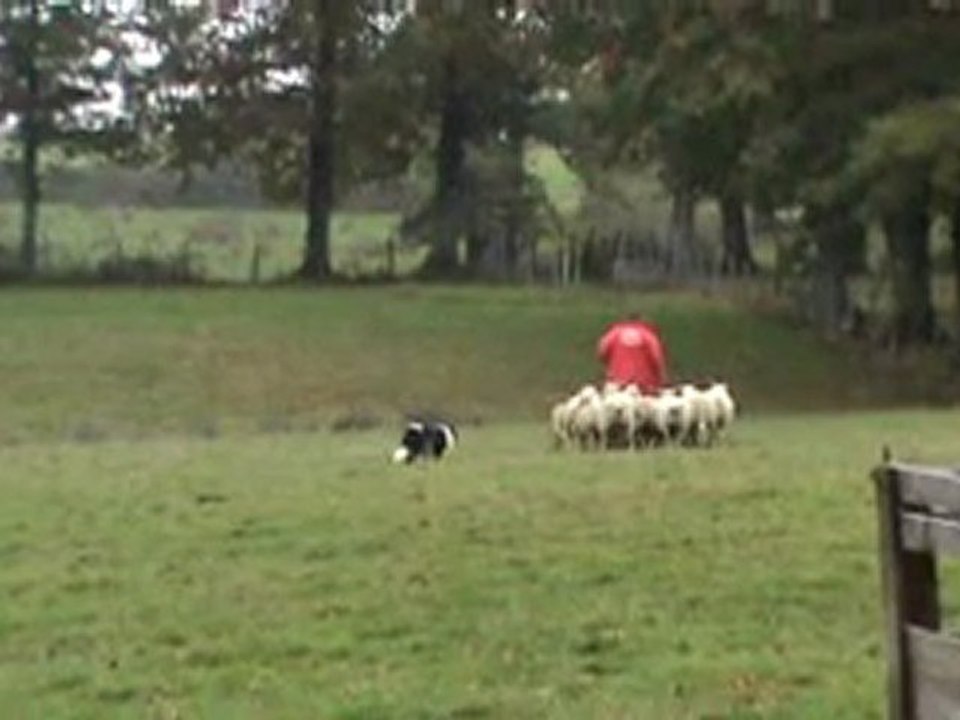Carma 06 11 2011