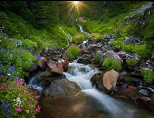 Geriye acaba yalnızca hatıralar mı kaldı