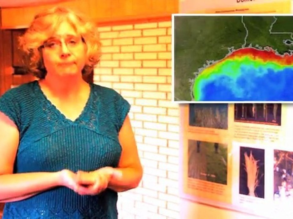 Perennials VS Annuals: The battle to end all wars!