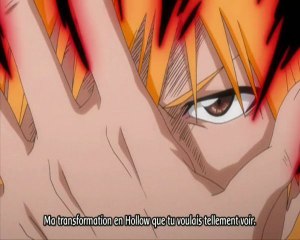 Bleach AMV - The True Hollow