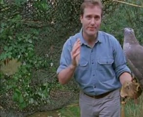 las garras del terror(3)