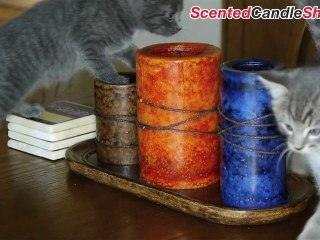 What you Should Know About Candle Safety