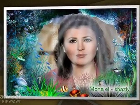 tripwow_ta-0327-bccc-7a2e