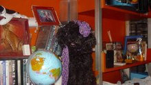 El primer añito de magui
