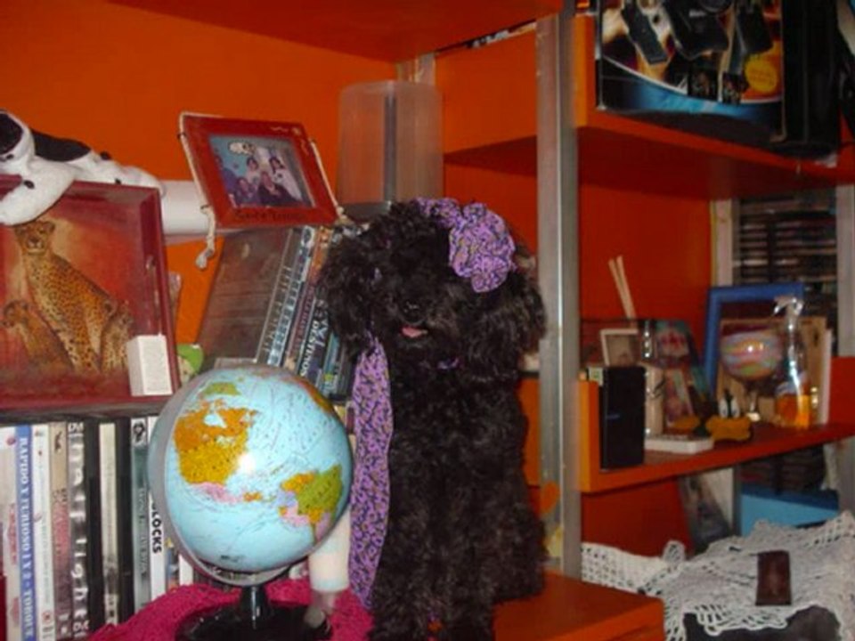 El primer añito de magui