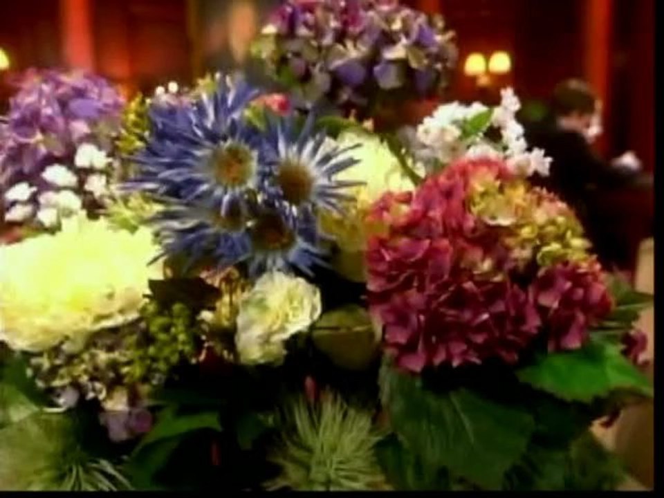 Le Coeur A Ses Raisons-S03E08-À la poursuite de Ridge