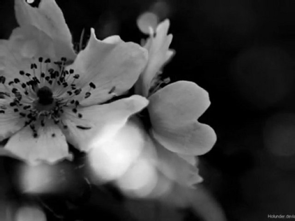 SENDEN ÖNCE SENDEN SONRA & TEOMAN