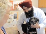 Veterinarian Springwater Barrie King Street Animal Hospital