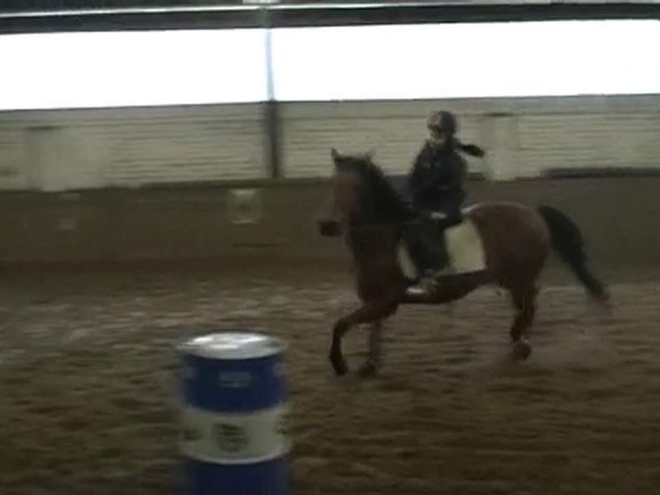 le 6-11-2011 Les Jeux après la Saint-Hubert au manège El Cortijo