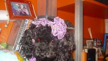Feliz cumpleee...magui