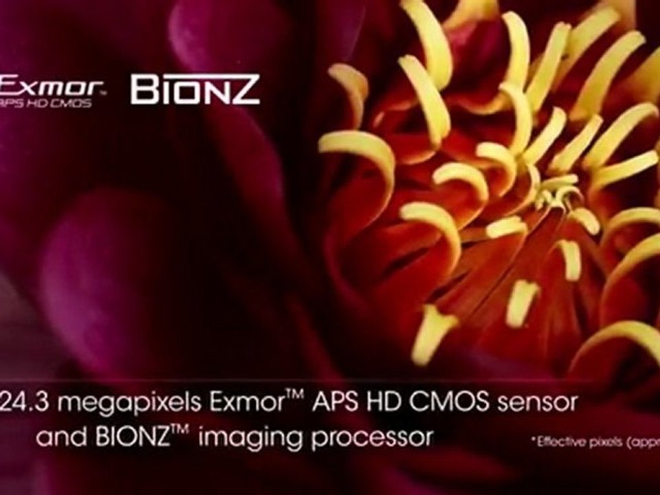 Sony A77 24.3 MP Translucent Mirror Digital SLR