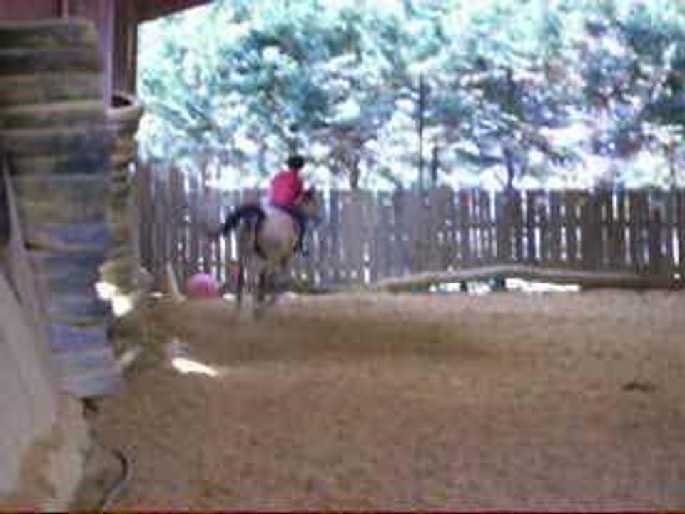 Vidéo de Pierre et Major (1)