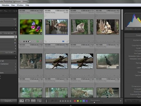 Урок 013 полного русского курса по Lightroom 2