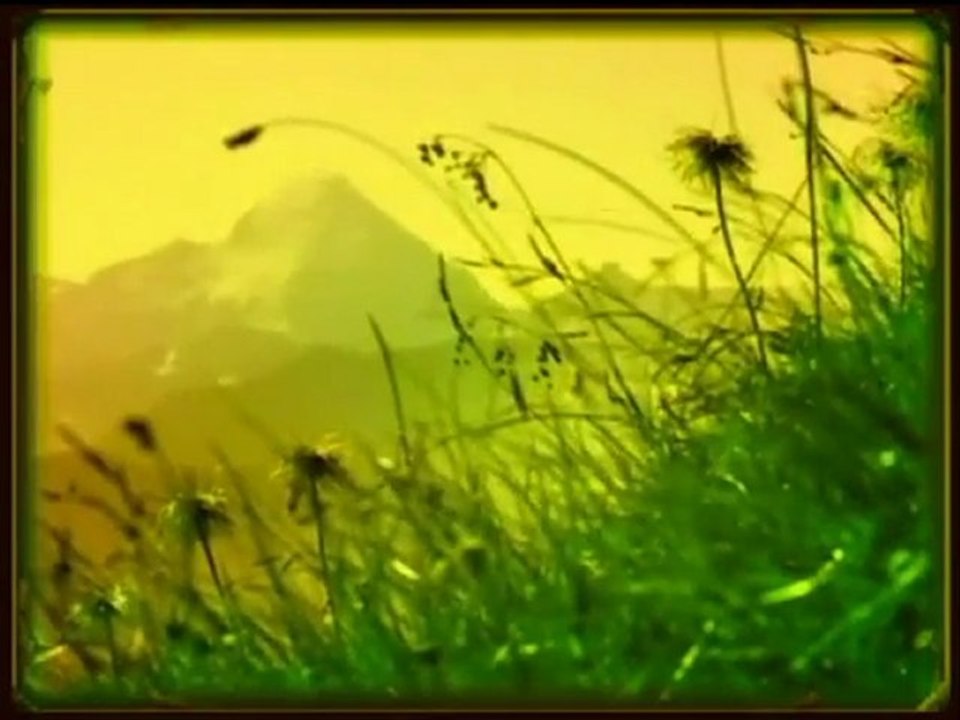 Toselli's Serenade  "Andre Rieu"  {Classic Love Songs}