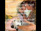 Hasan Selcuk Birdal-Nagihan Dönmez-Gell