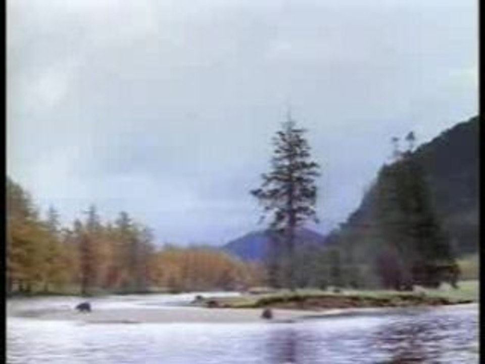 La pêche aux saumons en Alaska