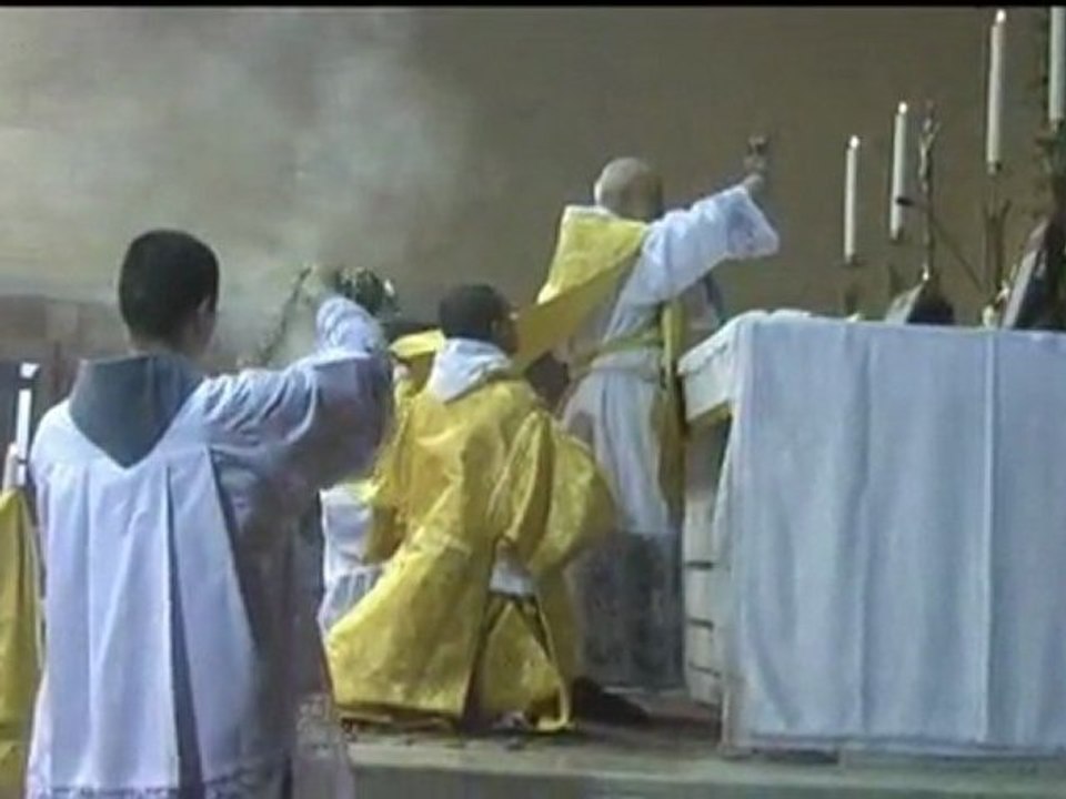 Variety #173: Feast of John Duns Scotus Mass in Rome