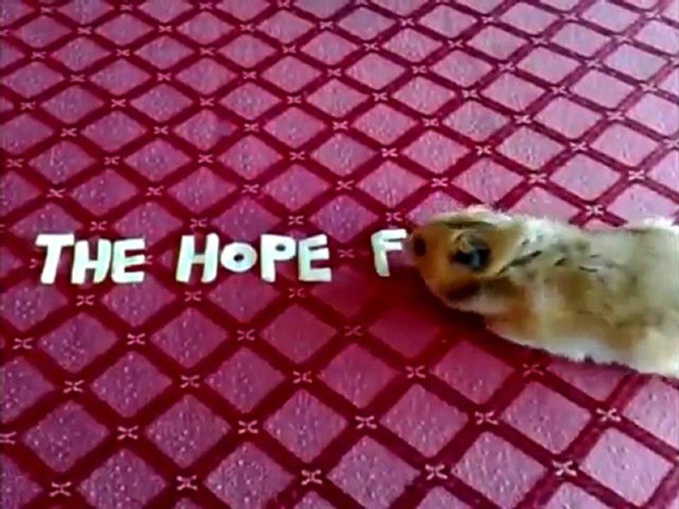 The Hope Factory | Melbourne Web Design