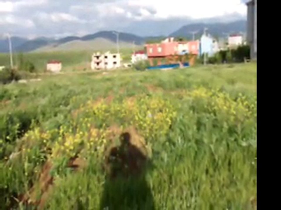 Nedim varol, tufanbeyli, adana, ( fatoŞ hanim.7.6.2011)