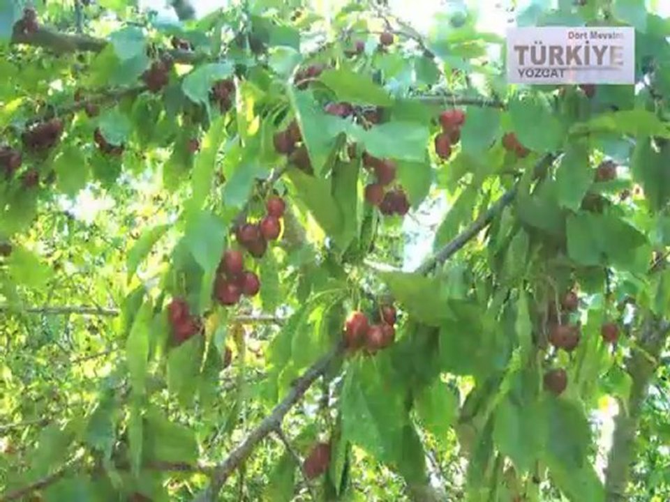 TGRT Yozgat tanıtım