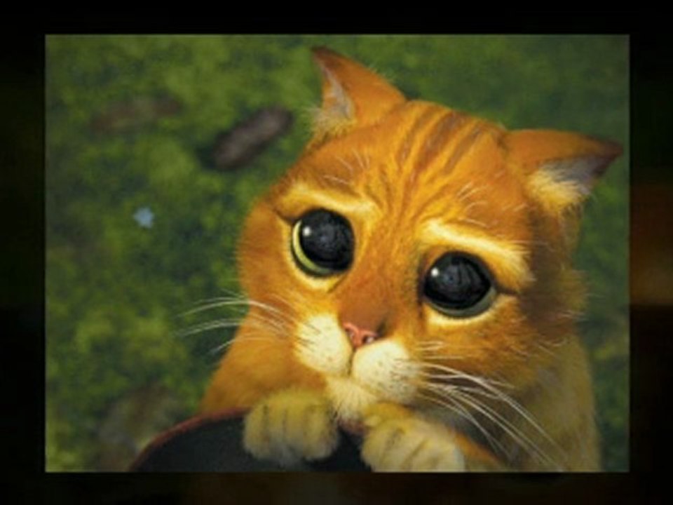 Watch Online - Puss in Boots Movie Trailer - Puss in ...