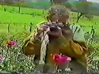 (DVD08) (20) BOSQUES Y FUTURAS GENERACIONES