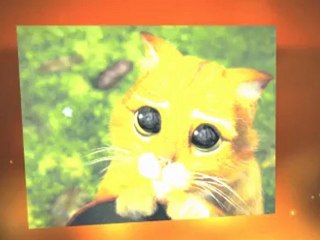 Stream Free - Download Puss in Boots English Movie - ...