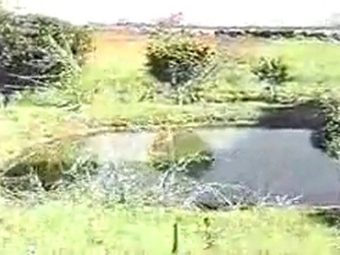 (DVD08) (26) CLASES DE ECOSISTEMAS