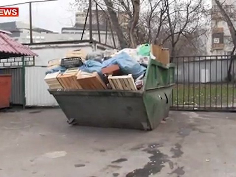 Выброшенного  питона спасли в Москве