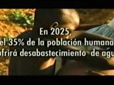 (DVD08) (42) PROTEGER LOS BOSQUES Y EL AGUA