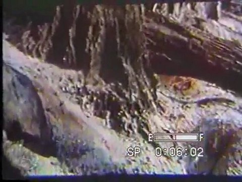 (DVD09) (04) COMO CONSERVAR NUESTROS BOSQUES