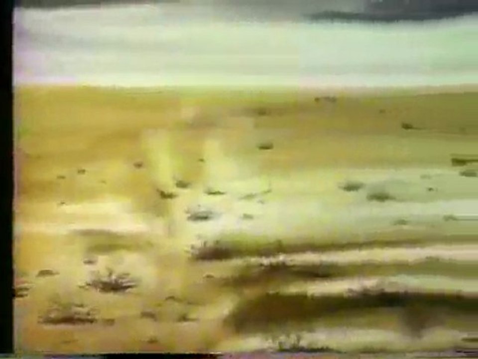 (DVD09) (09) CUIDA EL PAISAJE, CAMPAÑA