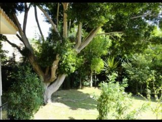 Altavista Property Villa Marbella Ref: R399069