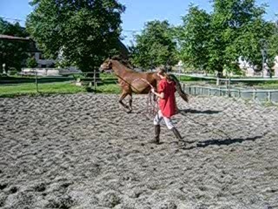 Trot