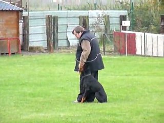 Airine de Rouge Sang - OB Emmerin