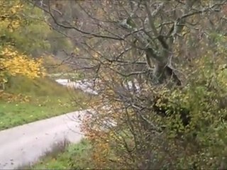 Rallye de la noix de Grenoble 2011